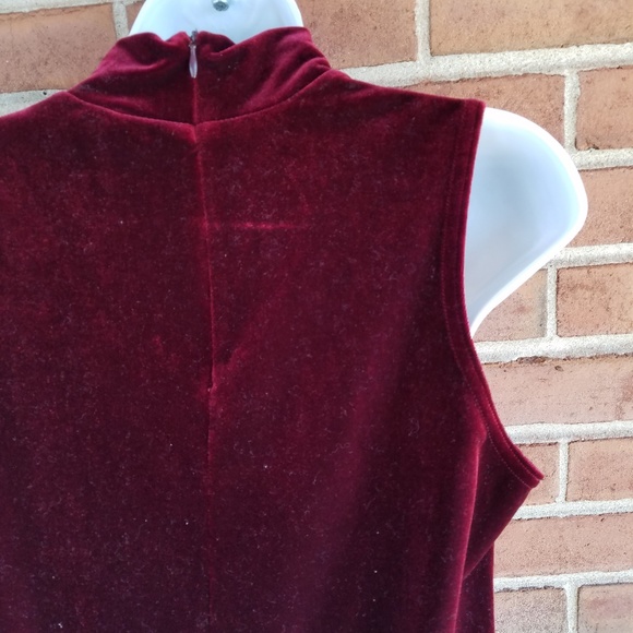 Maroon Velvet Dress - Picture 4 of 7